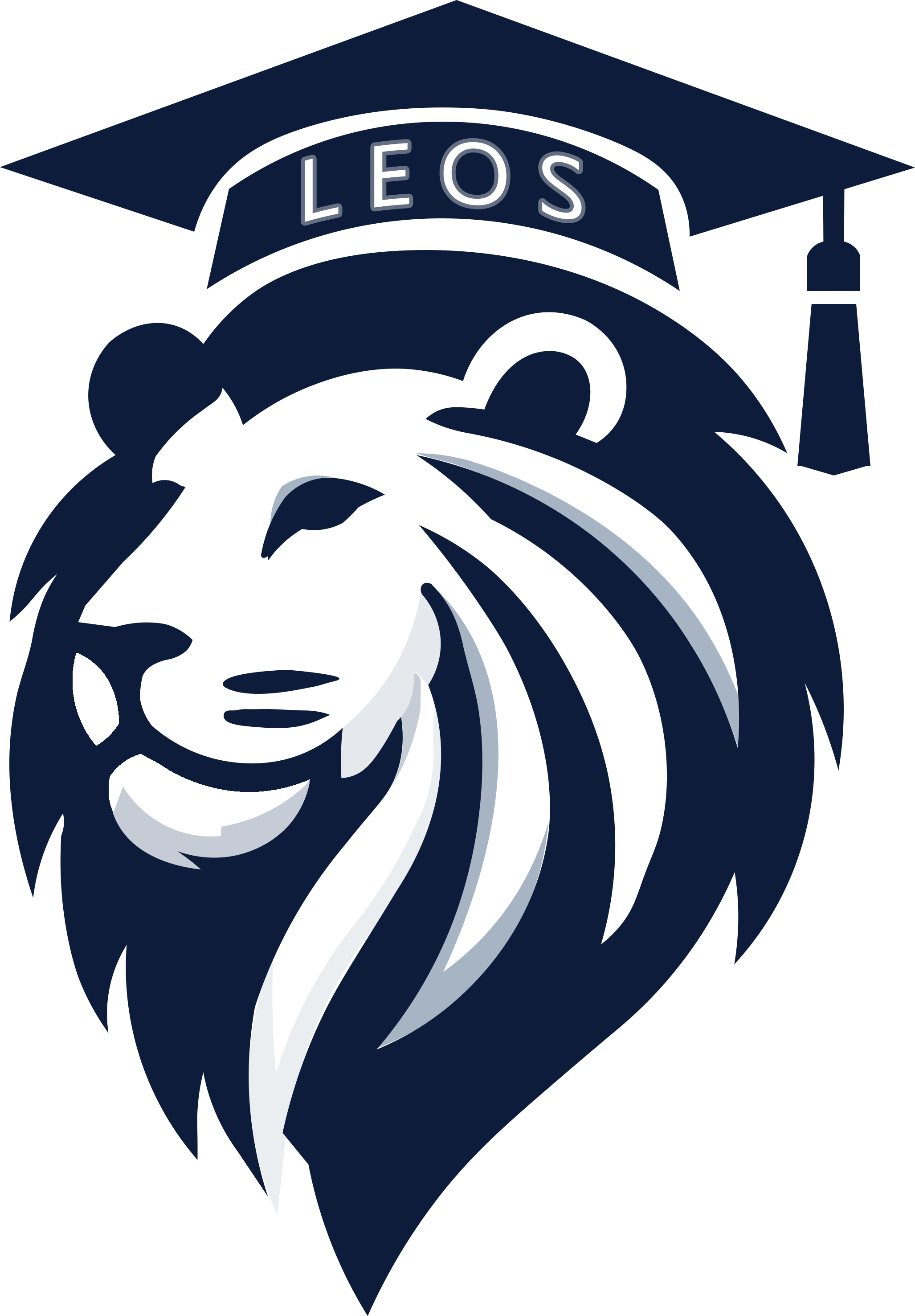 LEOS Logo